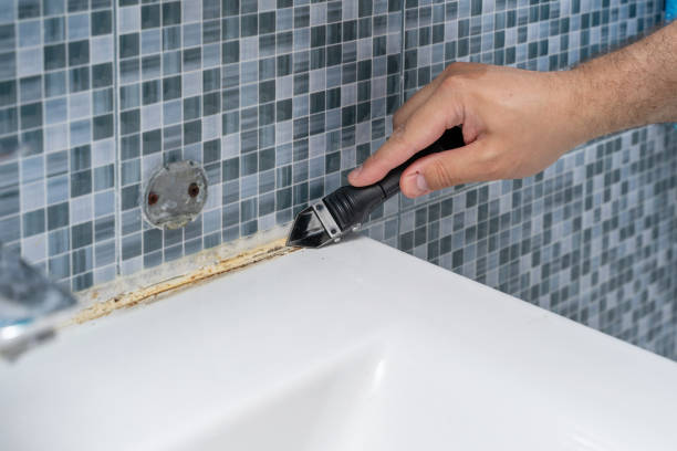 Best Mold Testing and Inspection Services in St Paul Park, MN